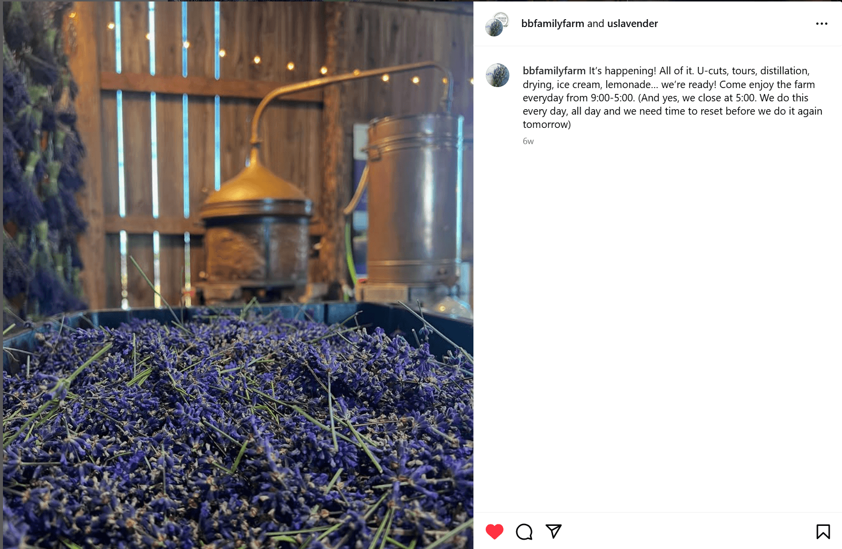 A B & B Family Farm, localizada em Sequim, WA, utiliza os nossos alambiques de cobre para destilar óleos essenciais de lavanda com qualidade artesanal. Esta parceria de longa data reflete a confiança na excelência de Copper Brothers. Featured post from our amazing customers