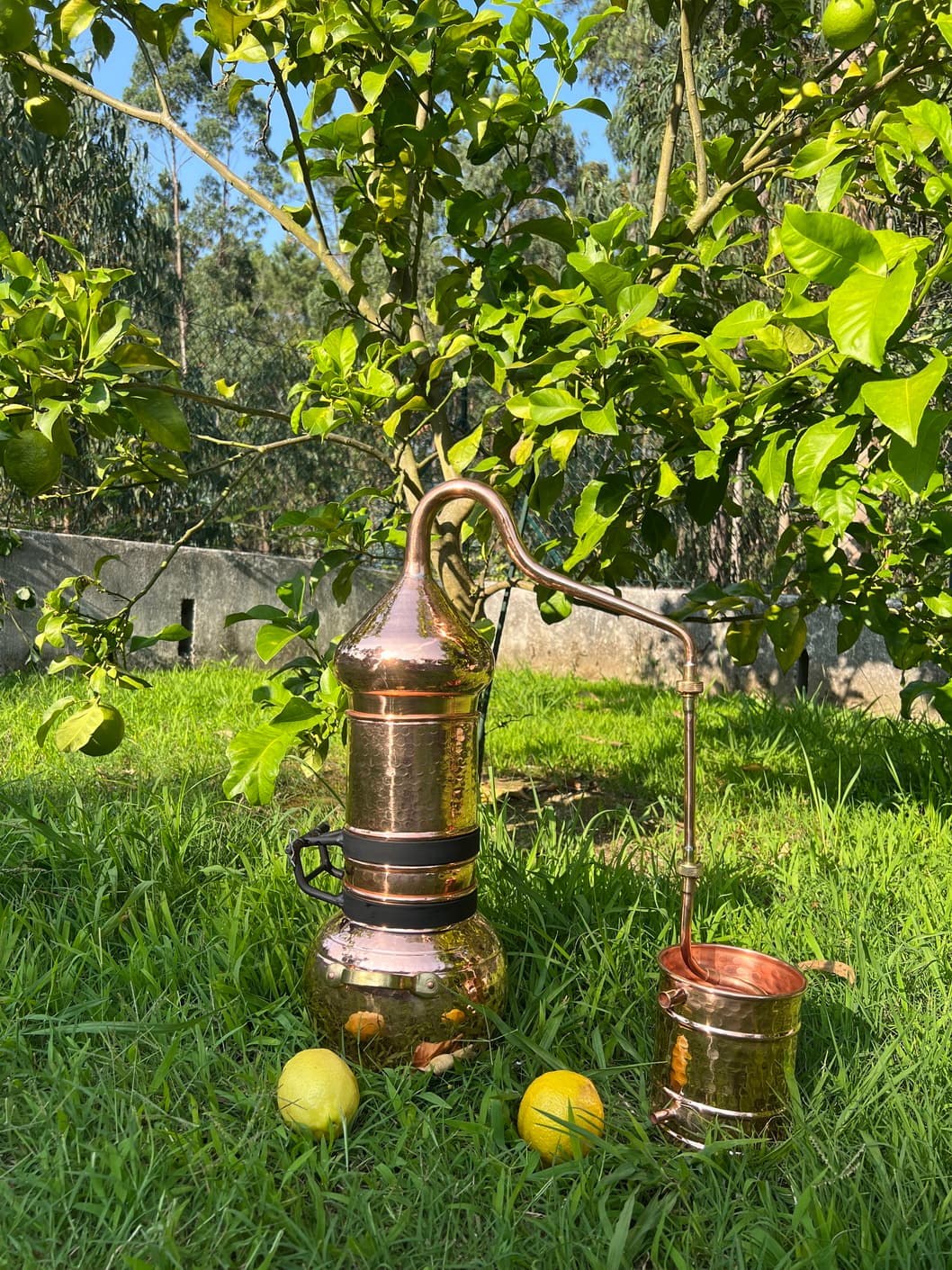 Our Premium Copper Flip Top Column Alembic Still includes a copper pot with soldered union construction, a rotating column attached to the pot with a metal support, which can be used or tipped to the side when you wish to use the alembic traditionally, a swan neck lid, an extension pipe and a condensing recipient with serpentine coil.